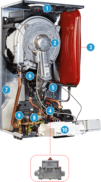 husky interno